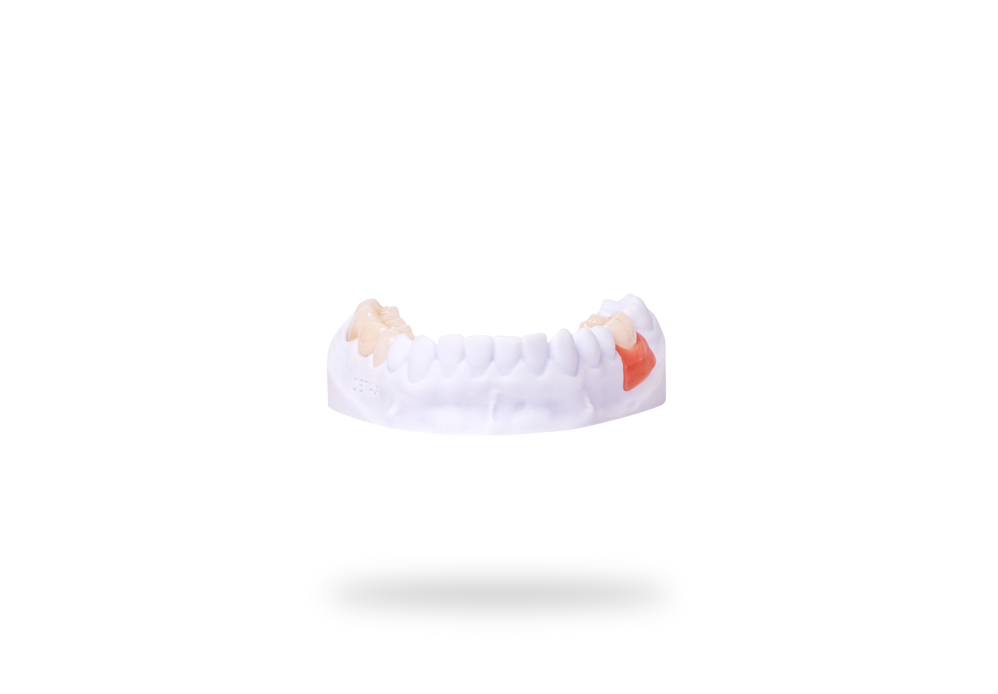 Detax Freeprint Gingiva