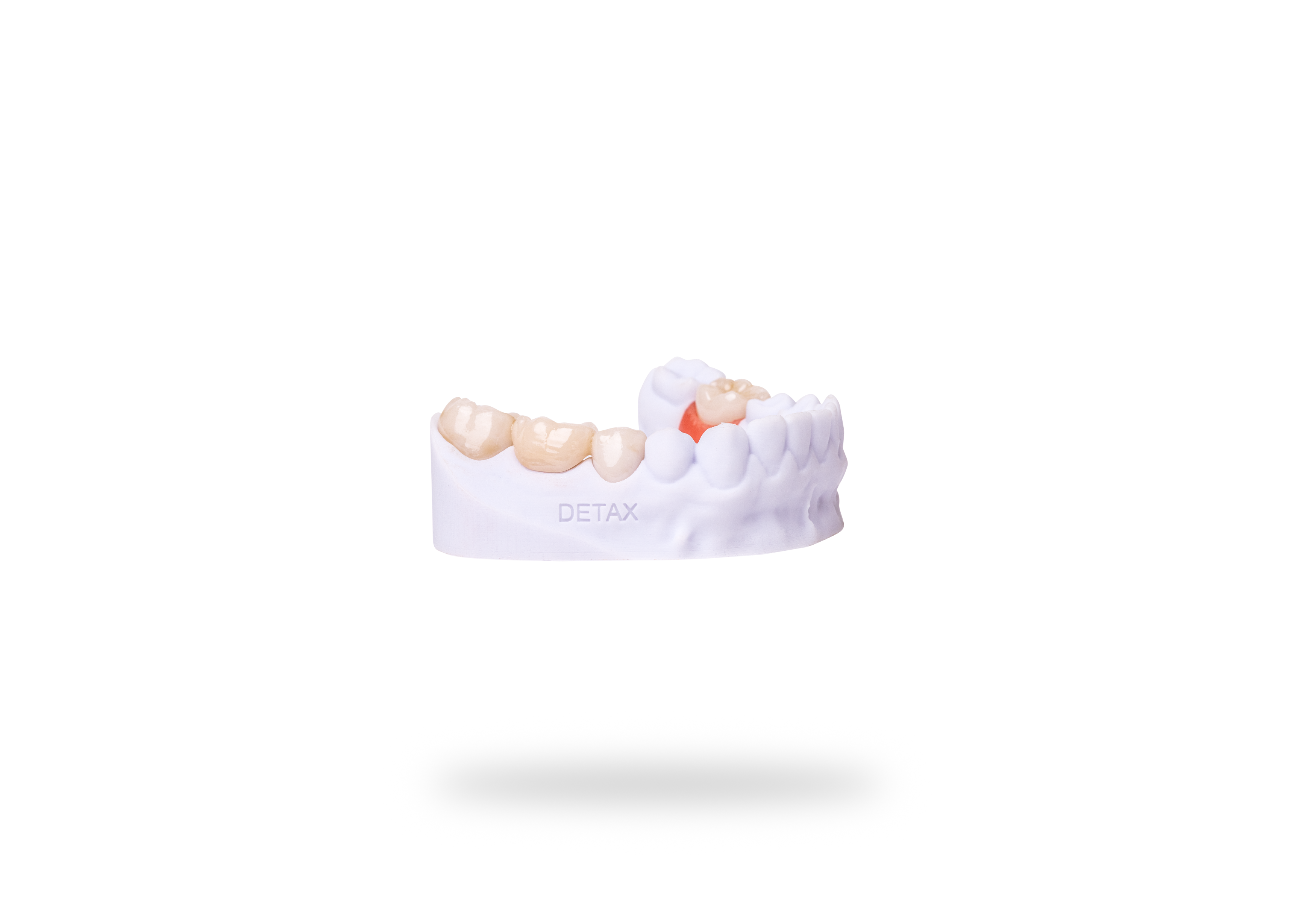 Detax Freeprint Gingiva
